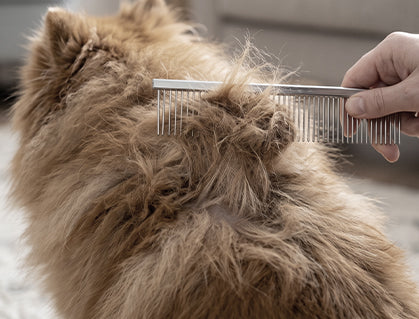 Double-Sided Pet Dematting & Grooming Comb