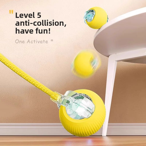Automatic Interactive Dog Toy Ball with Obstacle Avoidance