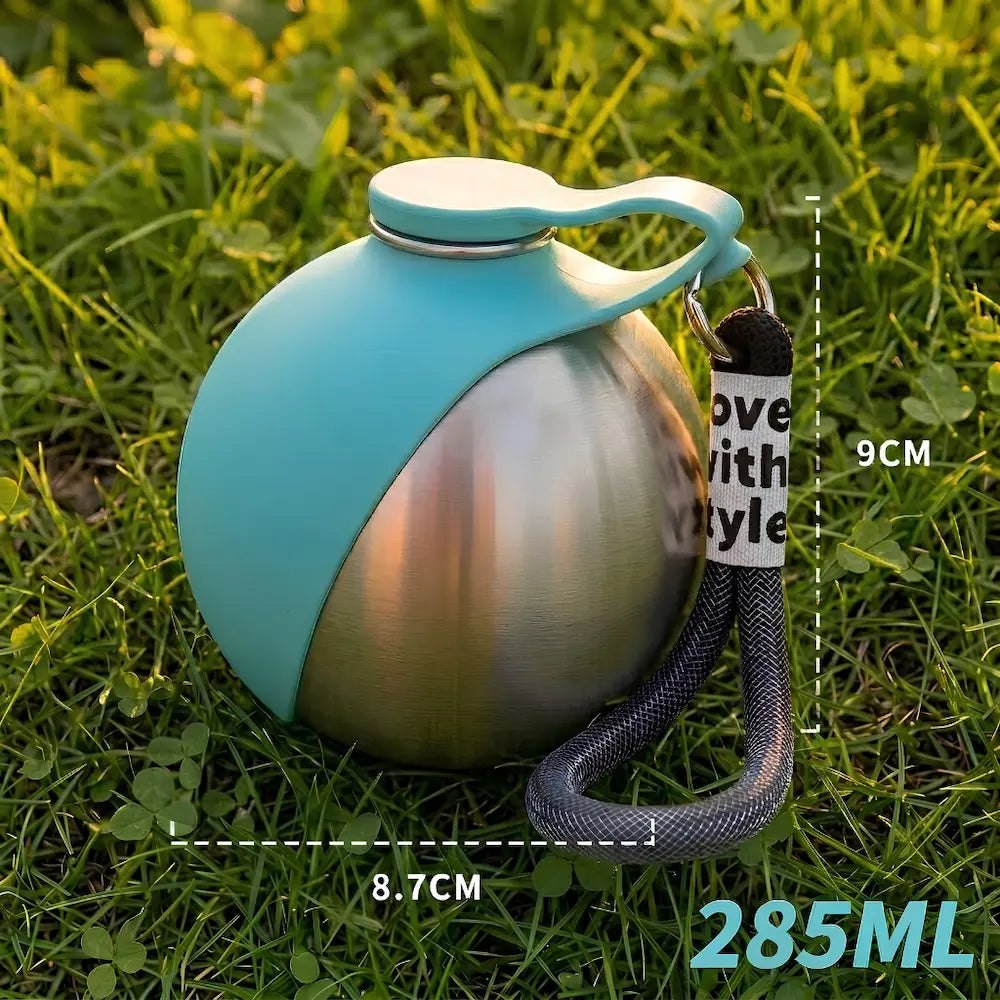 Gassinapf